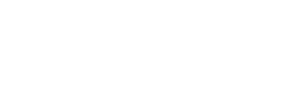 Dr. Raj